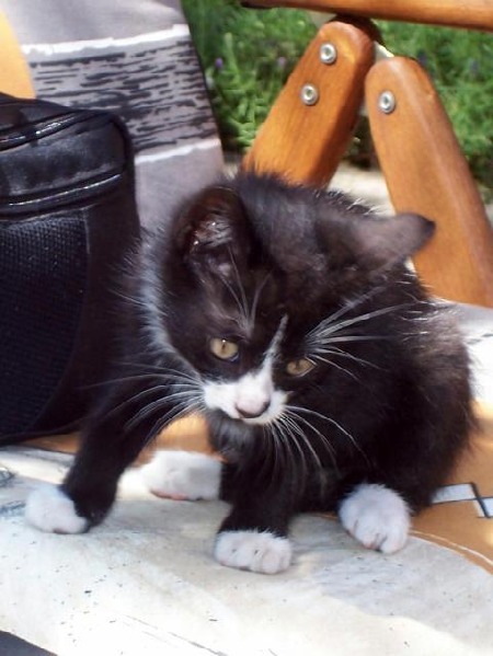 Baby_Felix