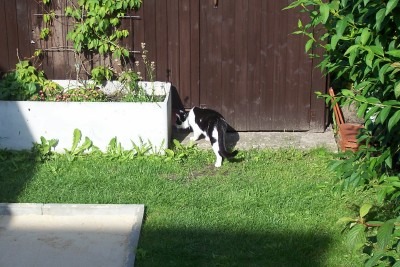 Nicki versteckt sich