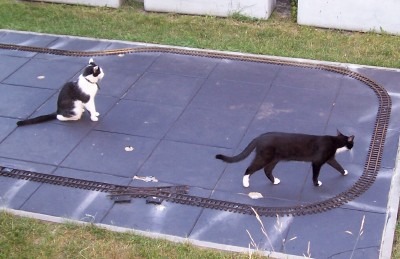Felix und Nicki 2