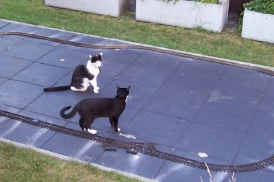 Felix und Nicki 1