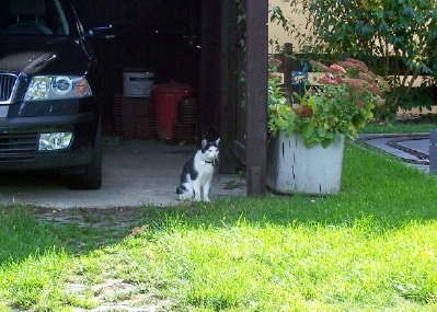Nicki in Carport