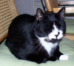 Felix Herbst 2007-1