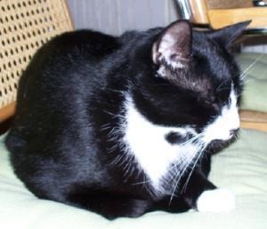 Felix Herbst 2007-2