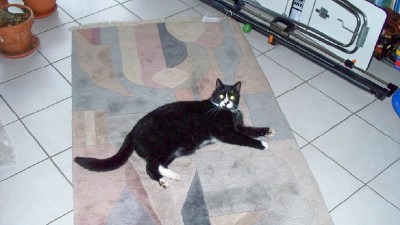 Felix Februar 2008